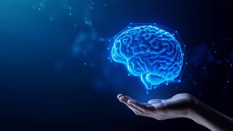 Hand Holding Human Brain - Futuristic Concept of Intelligence, science and mind AI