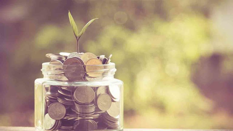 plant growing out of coins with filter effect retro vintage style