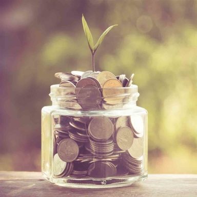 plant growing out of coins with filter effect retro vintage style