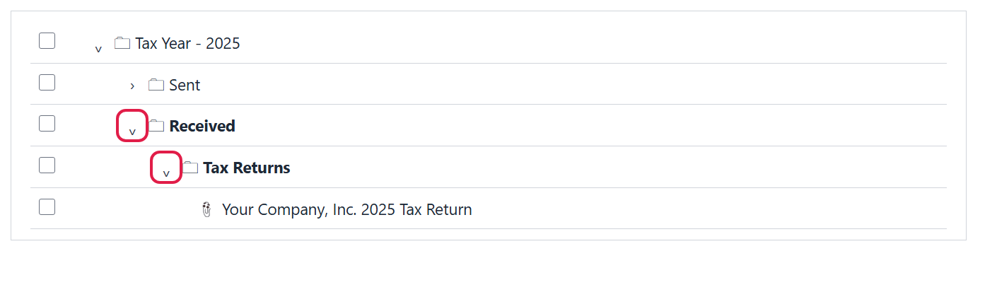 Tax Year 2025 folder opened to Received, then Tax Returns, showing the tax return document